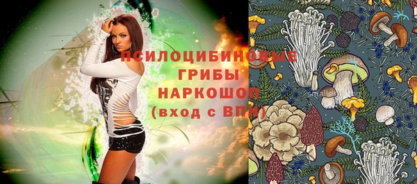 spice Кинешма