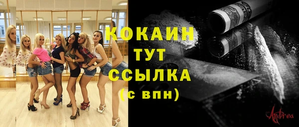 spice Кинешма