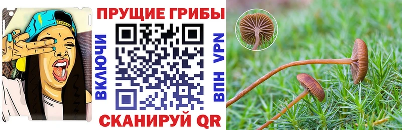 купить наркотики цена  Кизилюрт  Галлюциногенные грибы мухоморы 