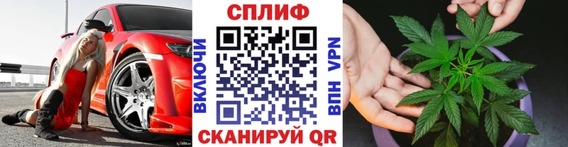 Каннабис Amnesia где найти наркотики Кизилюрт